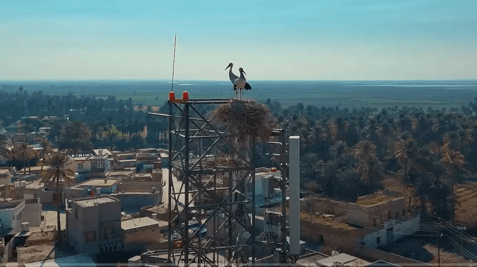 بڕیاری بە قەزابوونی قەرەتەپە کەوتە بواری جێبەجێکردنەوە