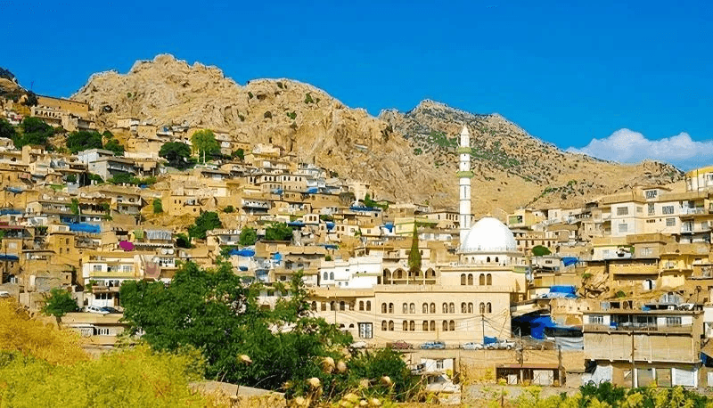 لە ئاکرێ کەسێکی نەناسراو دەستڕێژی گوللە لە ژمارەیەک مانگا دەکات