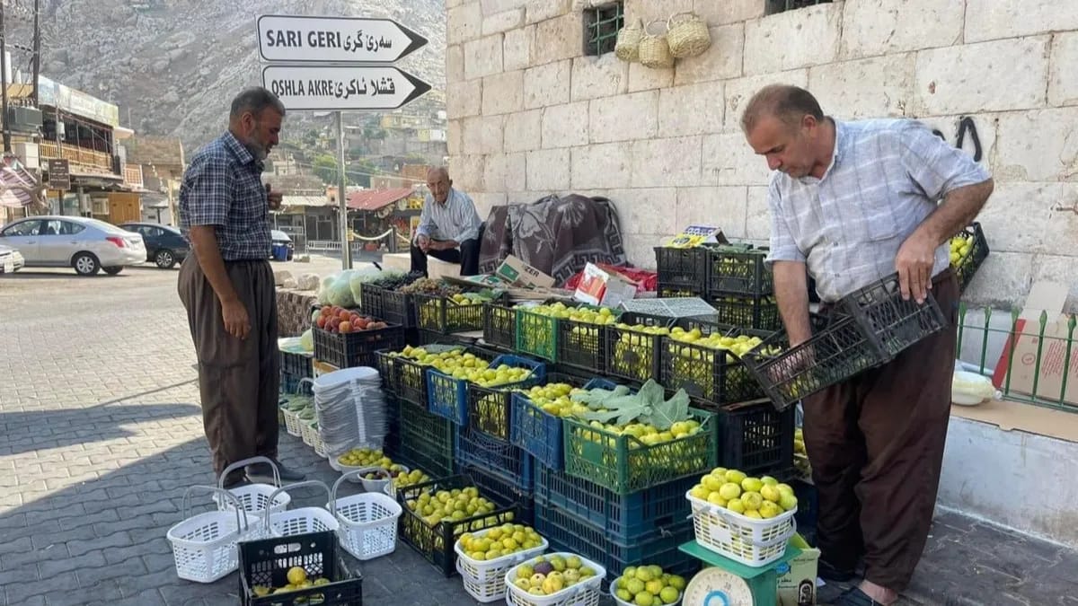 بەڕێوەبەری کشتوکاڵی ئاکرێ: لە کابینەی نۆیەمدا بەرهەمی کشتوکاڵی ئاکرێ 200% زیادیکردووە
