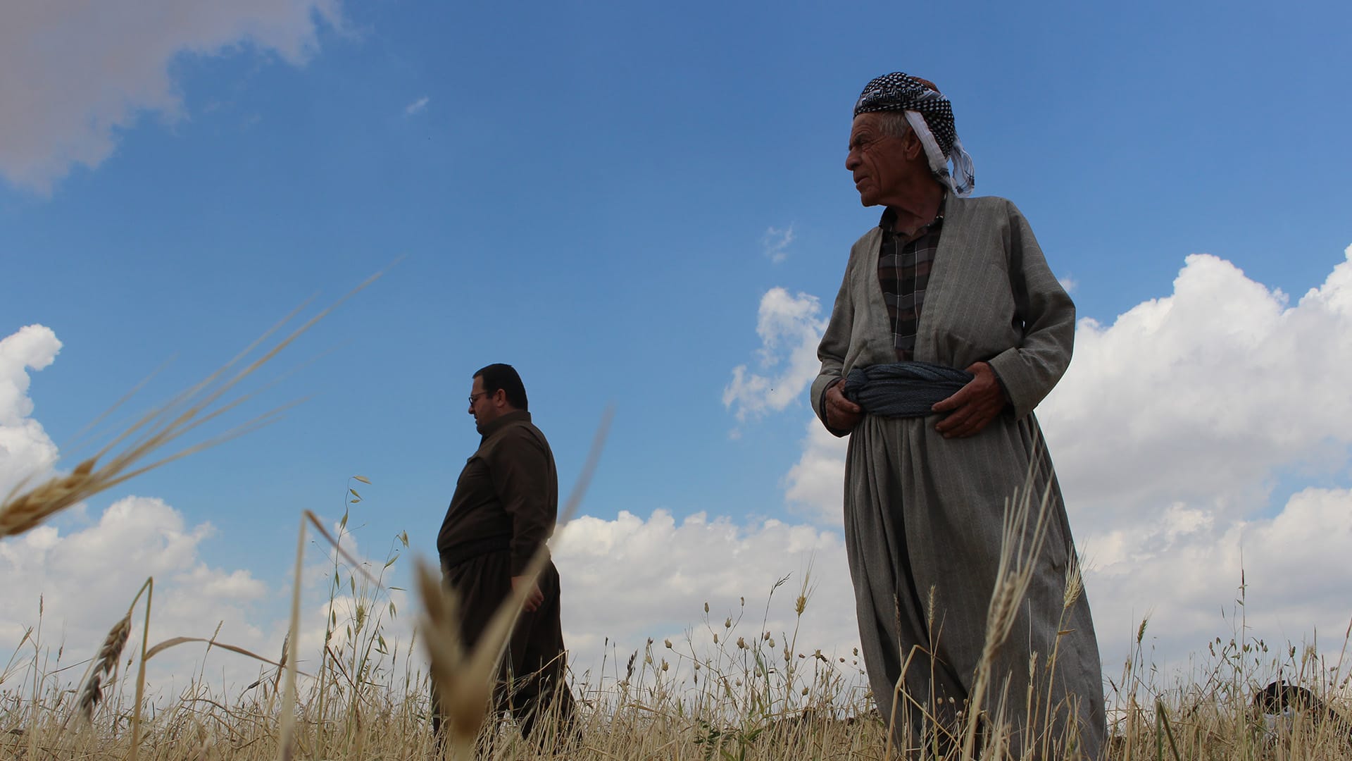 بەهۆی یاساكانی سەردەمی بەعس، زەویی جووتیارانی كورد خراوەتە سەر وەزارەتی دارایی و كشتوكاڵ