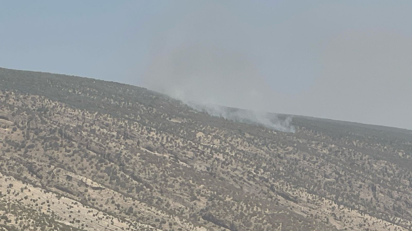 بۆ چوارەم جار ئاگر لە چیای برادۆست کەوتەوە و کۆنترۆڵ کرا