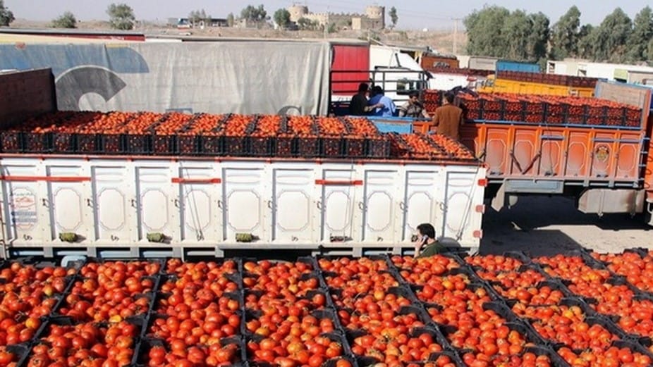 وەزیری كشتوكاڵ: بۆ گواستنەوەی بەرهەمی جووتیاران لەگەڵ بەغدا گەیشتووینەتە ڕێككەوتن