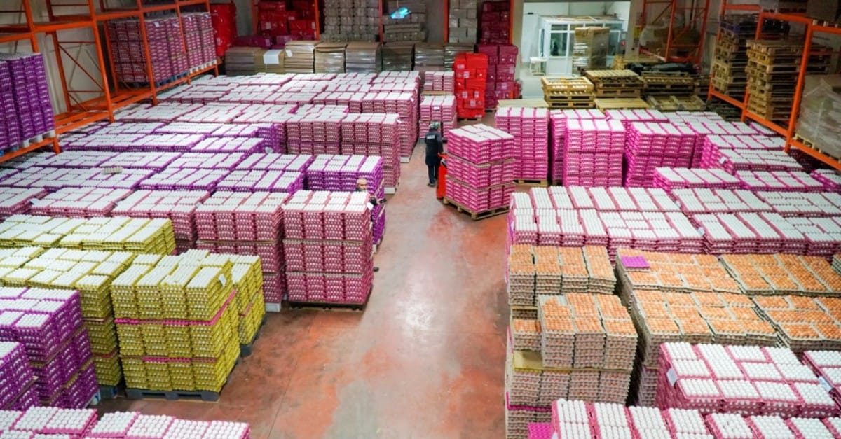 عێراق لە پلەی یەکەم دێت لە هاوردەکردنی هێلکەی تورکی بە بەهای 66 ملیۆن دۆلار