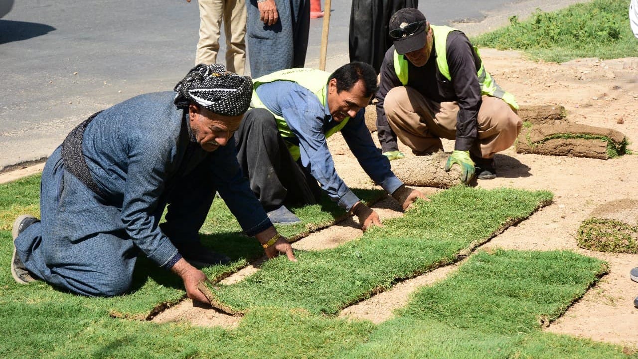 لە هەولێر هەڵمەتێکی سەوزکردنی شەقامەکان بەڕێوەچوو