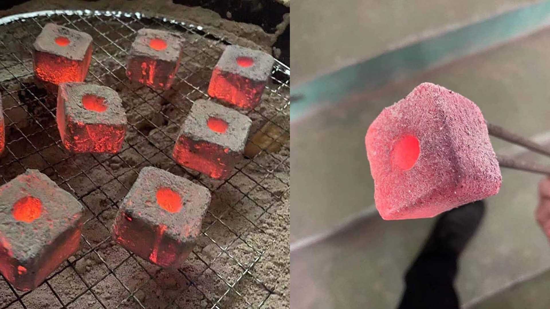 "خەڵووزی نێرگەلە" کۆتایی بە ژیانی منداڵێک دەهێنێت