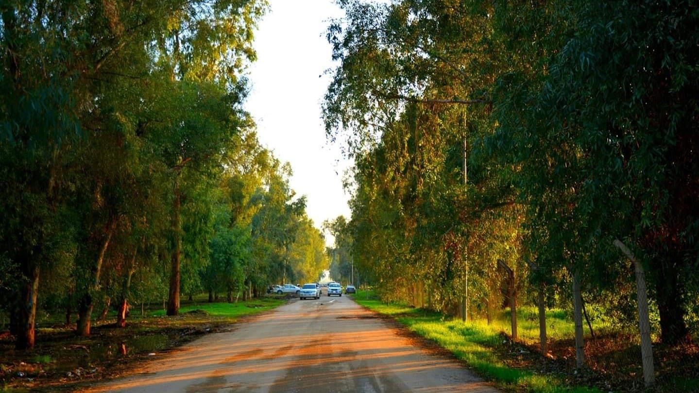 سیستمی ئاو بۆ دارستانی قەزای خەبات دادەنرێت