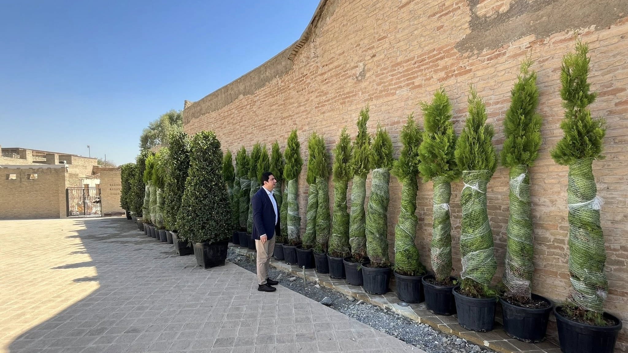 لە قەڵای هەولێر 50 دار بە ستانداردی كەلەپووری جیهانی دەچێندرێن