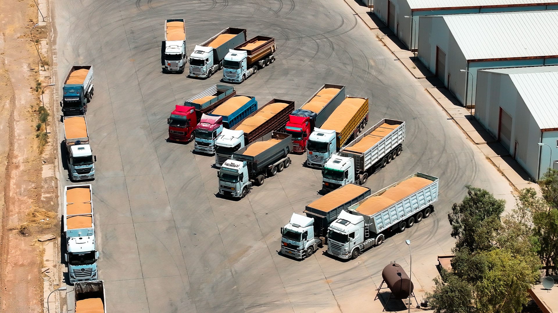 لە هەولێر دەست بە دابەشکردنی چەکی پارەی گەنمی جووتیاران دەکرێت