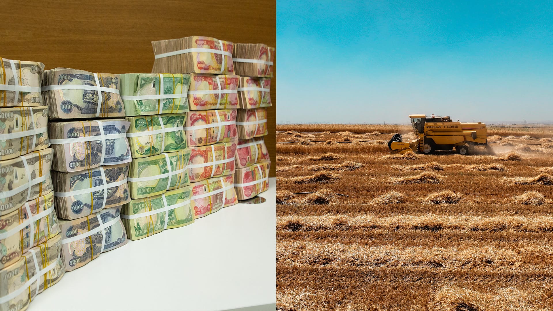 پارەی گەنمی جووتیارانی شێخان دابەش دەکرێت