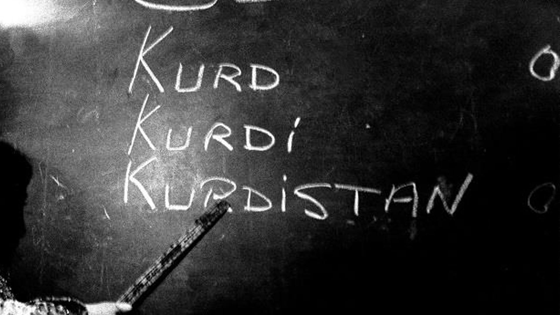 گەنجانی باکووری کوردستان دەیانەوێت زمانی کوردی لە دامەزراوە فەرمییەکان بەکار بهێندرێت