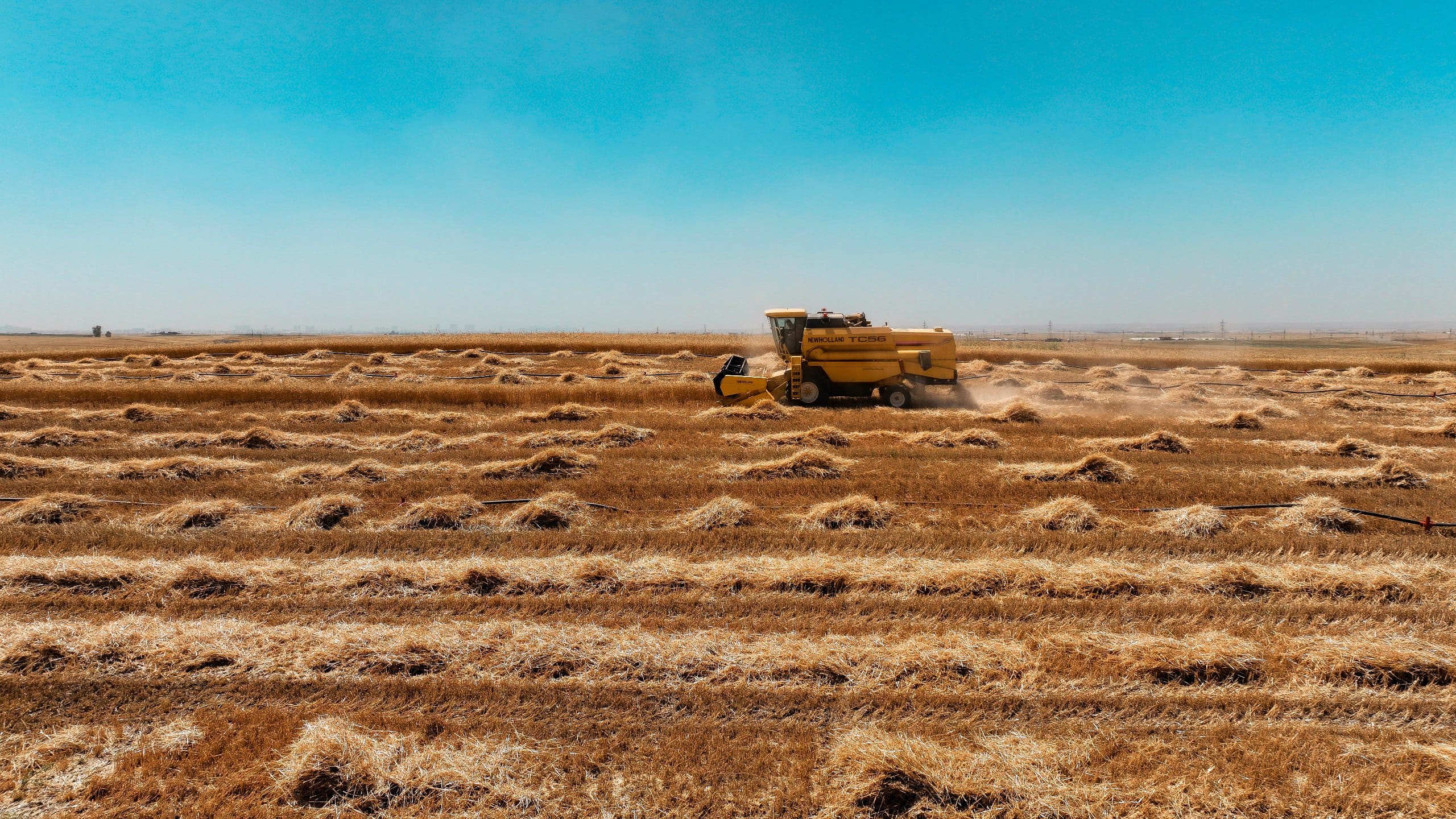 سایلۆیەکی گەورە بۆ جووتیارانی کۆیە و تەقتەق دروست دەکرێت