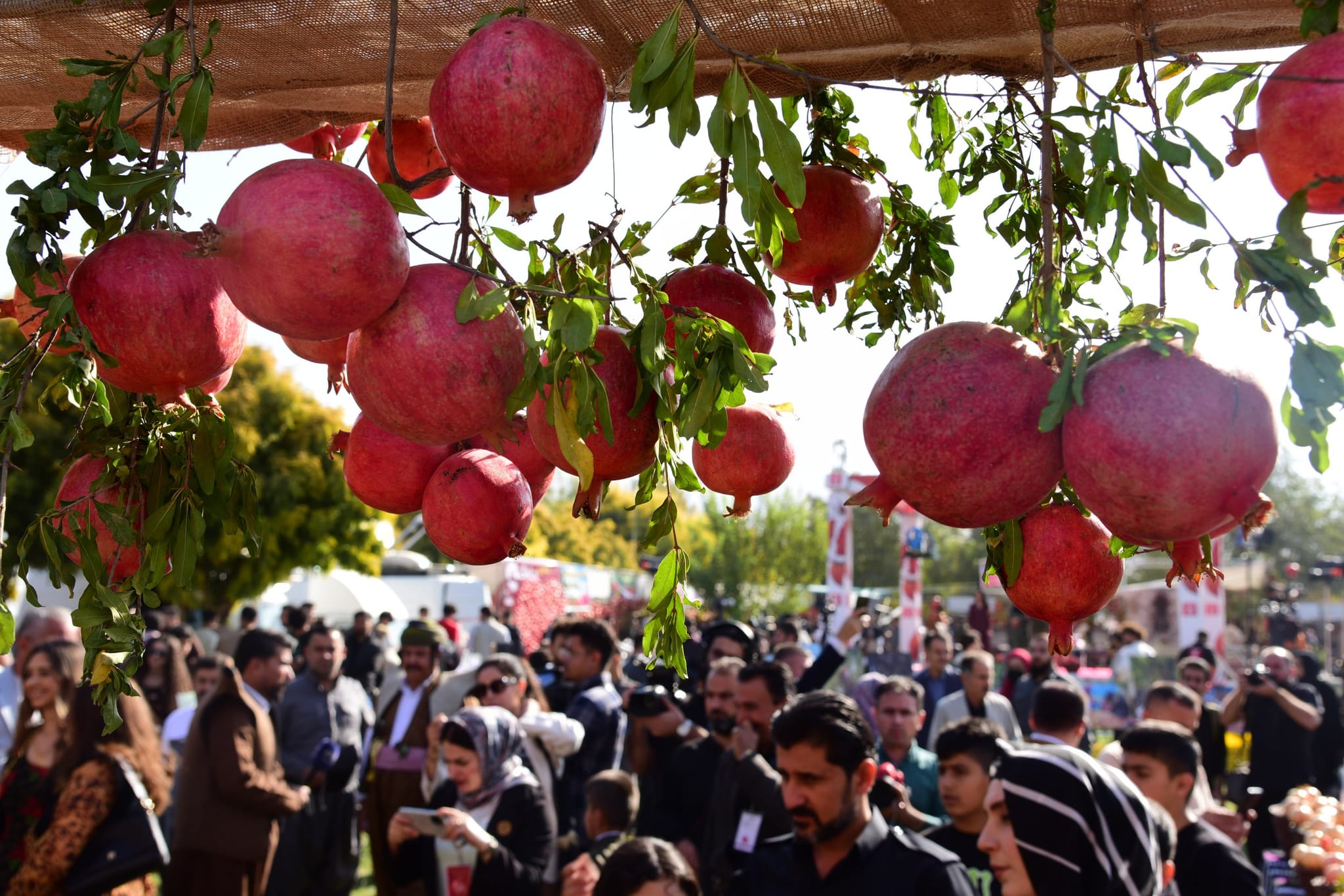 بۆ یەکەمجار لە فێستیڤاڵی هەناری هەڵەبجەدا بەکارهێنانی پلاستیک قەدەغە کرا