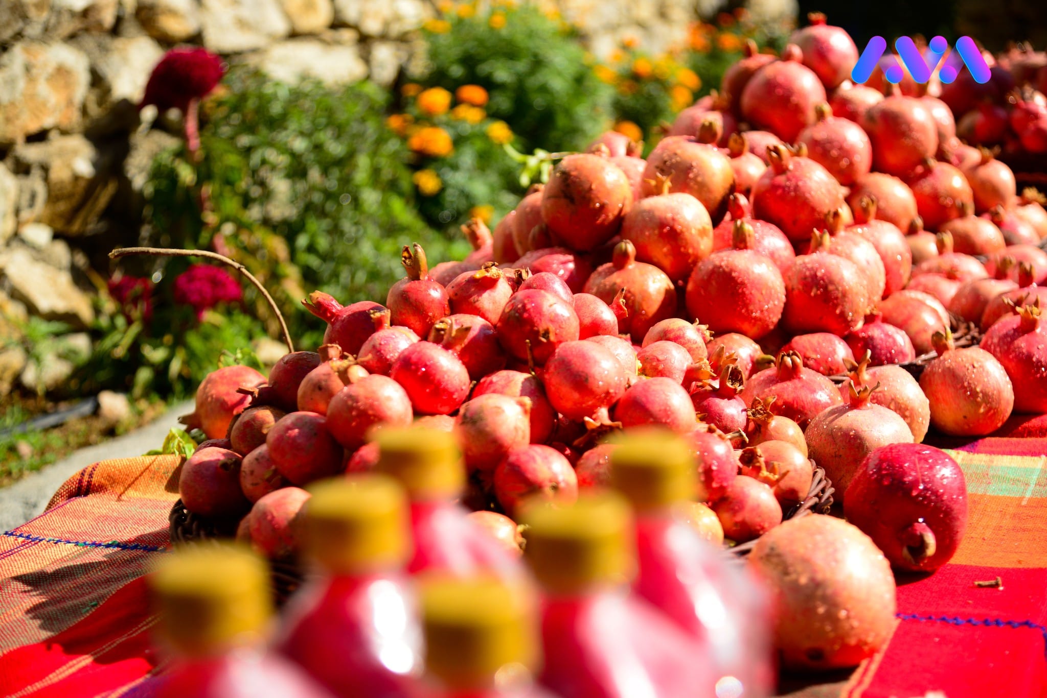 فێستیڤاڵی هەنار و پاییزەی هەڵەبجە ماوەی سێ ڕۆژ بەردەوام دەبێت