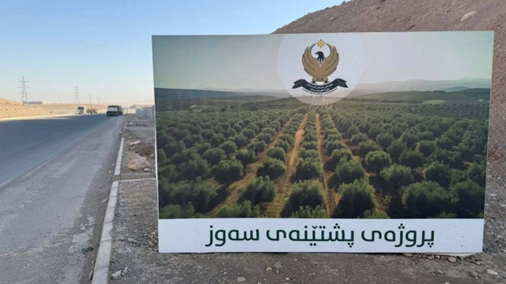 ڕۆژانە هەزاران دار لە پڕۆژەی پشتێنەی سەوزایی هەولێر دەچێنرێت