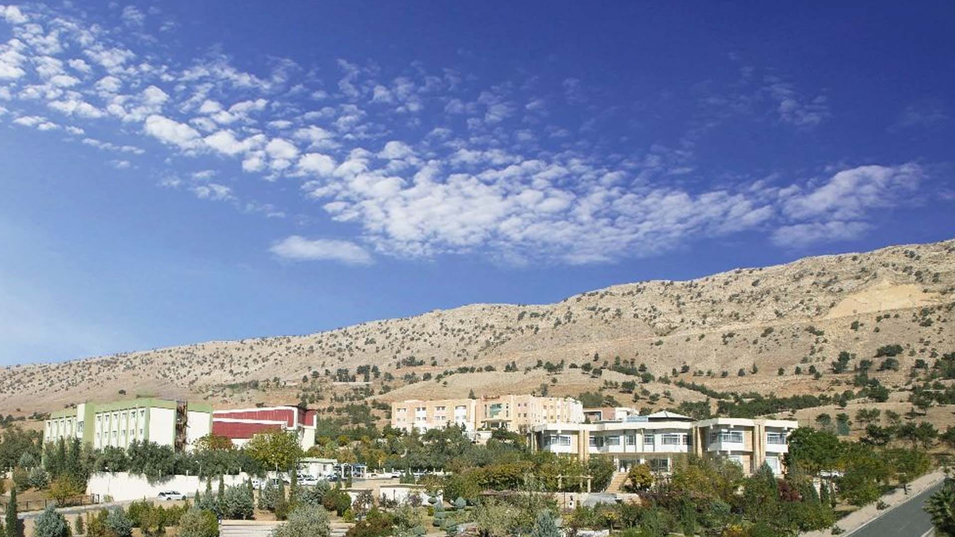 فێستیڤاڵی زەیتوون لە کۆیە بەڕێوەدەچێت