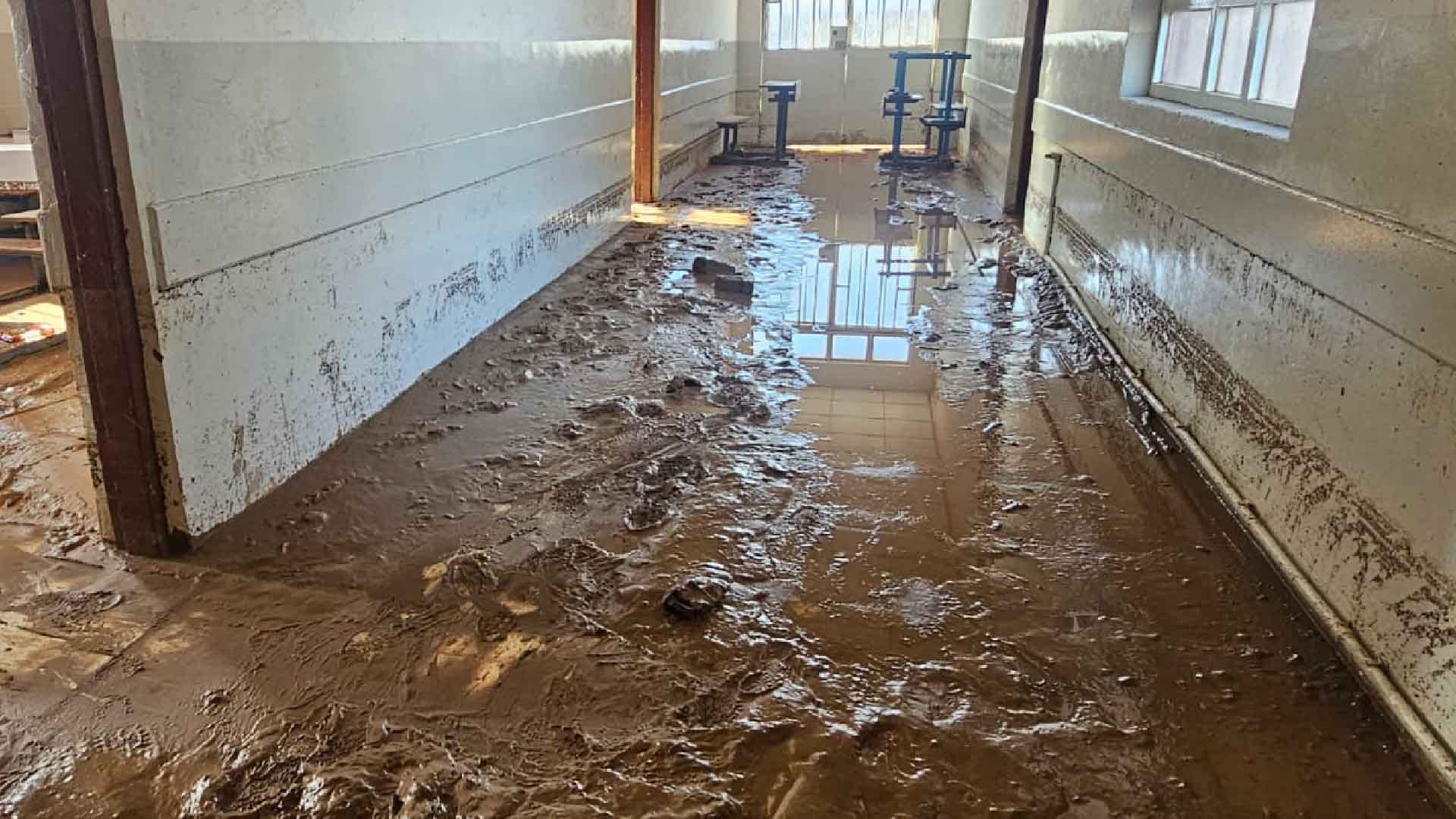 زیاتر لە 150 وەستای بیناسازی بەشداری لە کامپەینی ئاڤا میدیا دەکەن