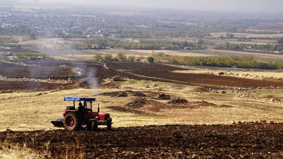 وەزارەتی کشتوکاڵ: لە زۆربەی ناوچەکانی هەرێمی کوردستان پەڵەی داوە