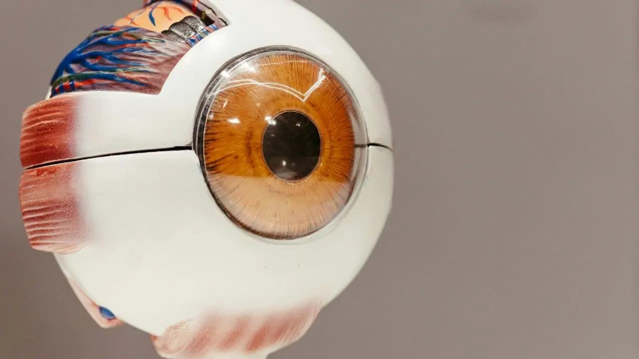 شۆڕشێک لە نەشتەرگەری؛ چاوێکی ڕۆبۆتی داهێنراوە زۆر لە چاوی مرۆڤ بەهێزترە