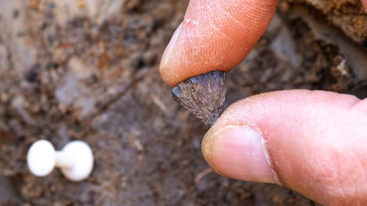 توێژینەوەیەک: 350 هەزار ساڵە مرۆڤ ئاگر دەکاتەوە