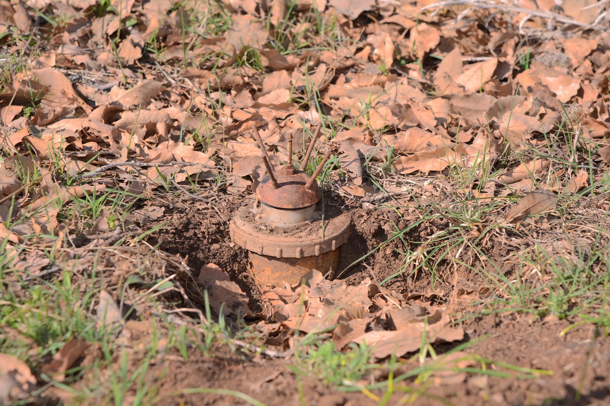 لە سنووری ڕاپەڕین؛ مین بە شوانێکدا تەقییەوە