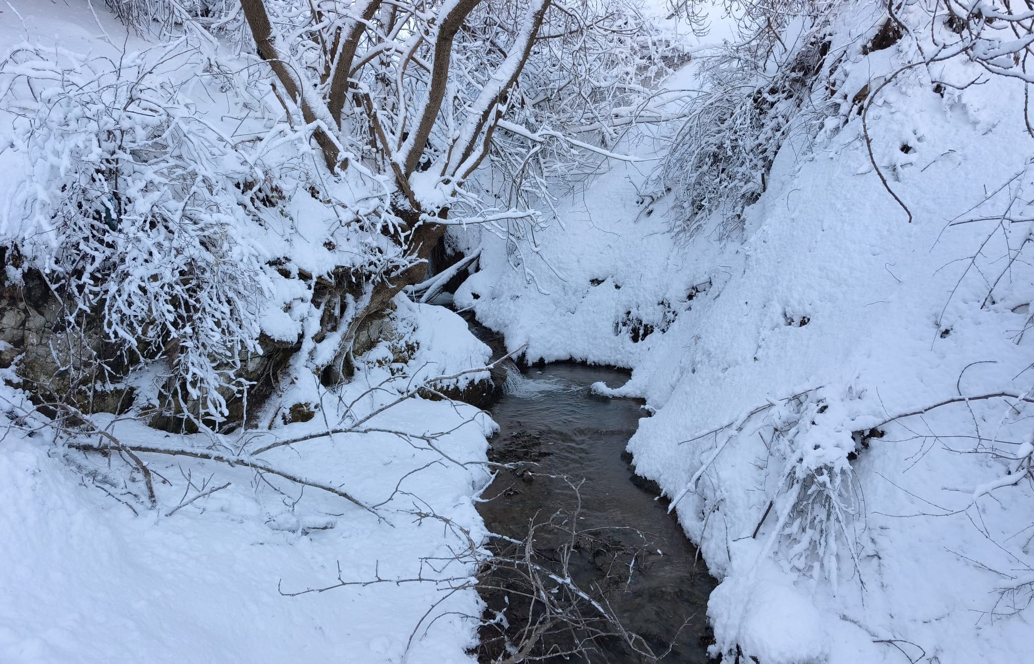 ڕاپەڕین، سۆران و شارەزوور؛ سێ بڕیاری جیاواز بۆ پاراستنی قوتابییان لە شەختە