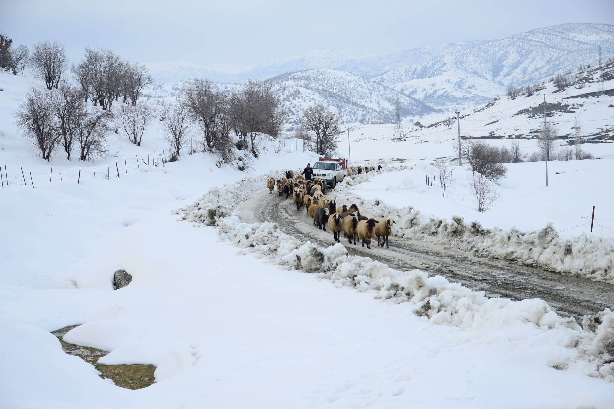 هاتووچۆی هەولێر بۆ شۆفێران: ئەو ڕێگایانەی بەهۆی بەفر و شەختەوە داخراون بەکار مەهێنن