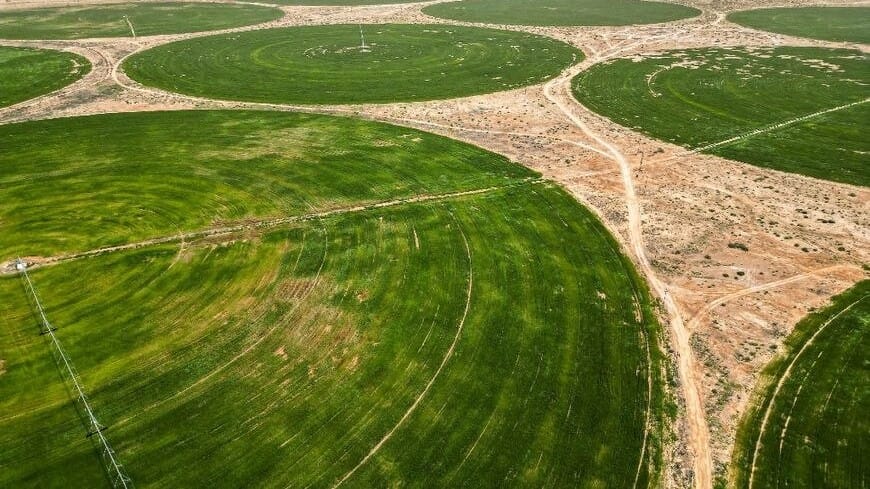 عێراق زیاتر لە نیوەی زەوییە بەپیتەکانی بۆ کشتوکاڵ بەکارناهێنێت