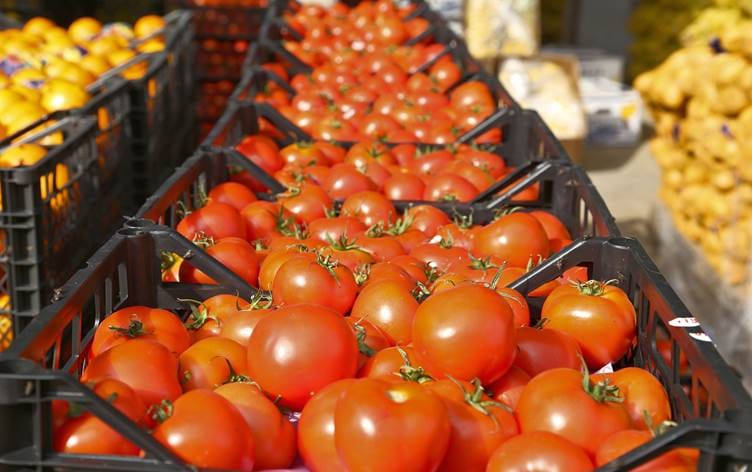 هێمن سەید موراد: لە وەرزی پێگەیشتنی تەماتە ڕۆژانە نزیکەی 400 بارهەڵگر تەماتەمان بە بازاڕ کردووە